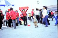 Hinh anh tai Thien An Mon