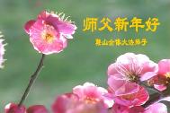 Anshan